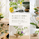 季節の花と過ごす、心を整えるひととき。の講座の風景
