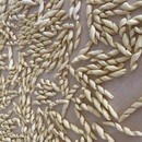 がんばらない薬膳で季節の不調を整える講師の講座の風景