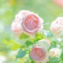 カメラで“ふんわり世界観”をつくる撮影講座の講座の風景