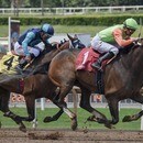 2時間で人生観が変わる競馬場体験の講座の風景