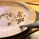 SALAK - 手彫り木工教室 -の講座の風景