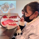 ミライハの開催する講座の風景