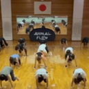 74歳現役が教える初心者向け体幹レッスンの講座の風景