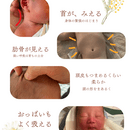 赤ちゃんの才能の守り方を伝える歯科衛生士の講座の風景