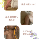 赤ちゃんの才能の守り方を伝える歯科衛生士の講座の風景