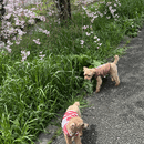 更年期に振り回されない生き方の講座の風景