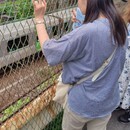 身近なお出かけって、意外とむずかしい？の講座の風景