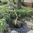 渡邉茶道教室の開催する講座の風景