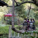 渡邉茶道教室の開催する講座の風景
