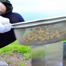 小さな焙煎所花待ち雨珈琲の開催する講座の風景