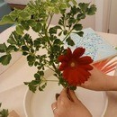 お子様にも伝わりやすく誰でも楽しめるいけばな！の講座の風景