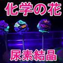 科学実験を通じAI時代を生き抜く思考力を高めよう！の講座の風景