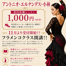 日本で唯一ジプシーの血を受け継ぐフラメンコダンサーの講座の風景