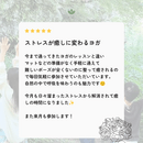 ガチガチな心と体を愛で、本来の笑顔はぐくむヨガの講座の風景