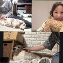 初めてでも安心！愛犬のおうちケア講座の講座の風景