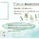 お子様にも伝わりやすく誰でも楽しめるいけばな！の講座の風景