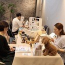 大好きなあなたの手のぬくもりが、愛犬を守るの講座の風景