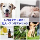 50代からの「手に職」✨癒しのセラピスト育成講座の講座の風景
