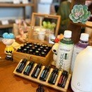 大好きなあなたの手のぬくもりが、愛犬を守るの講座の風景