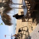 津田沼で学びバリ島サヌールで認定への講座の風景