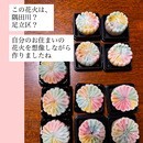 自分で作った和菓子が褒められる喜びの講座の風景