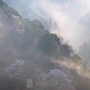 カメラがくれる、撮る楽しみと豊かな時間！の講座の風景
