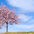 カメラがくれる、撮る楽しみと豊かな時間！の講座の風景