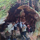 収益の自動化→好きな場所で好きな時間に好きな分働くの講座の風景