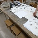 お手本前に知りたい｜水墨画の"線”だけ練習会の講座の風景