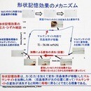 めがねのフレームが超弾性の講座の風景