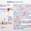 めがねのフレームが超弾性の講座の風景