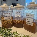 自己肯定感/発酵ドリンク/曼荼羅絵皿で自分に還るの講座の風景
