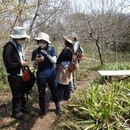 関東自然散策講座「首都圏生きものめぐり」の講座の風景
