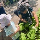 関東自然散策講座「首都圏生きものめぐり」の講座の風景