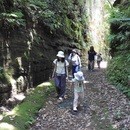 関東自然散策講座「首都圏生きものめぐり」の講座の風景