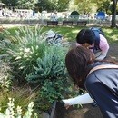 関東自然散策講座「首都圏生きものめぐり」の講座の風景