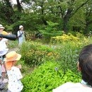関東自然散策講座「首都圏生きものめぐり」の講座の風景