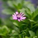 写真の基礎を学ぶ写真教室の講座の風景