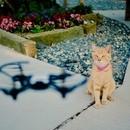 初心者でも楽しく理解できる！ドローンと動画編集講座の講座の風景