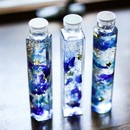 サニー・ハウスBraganzaの講座の風景