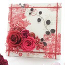 サニー・ハウスBraganzaの講座の風景