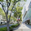 ブランディング講座｜専門コンサルタントが直接指導の講座の風景