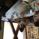 Ange de bonheur アンジュドボヌールの講座の風景