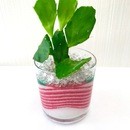 すずのね 平安 creation 空の講座の風景