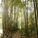 デジカメ兄さんのカメラ・写真教室の講座の風景