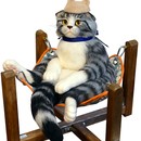 初めてでも2時間で完成、可愛い猫顔羊毛フェルト体験の講座の風景