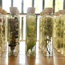 ay flower design unitsの講座の風景