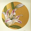 SHIKAKU workshopの講座の風景