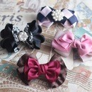 St.plumの講座の風景