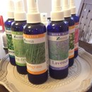 香りで心と体を健康にの講座の風景